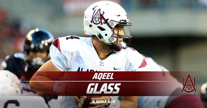 Aqeel Glass